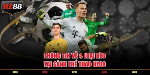 Thông tin về 4 loại kèo tại sảnh thể thao HZ88