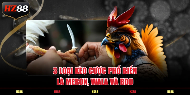 3 loại kèo cược phổ biến là Meron, Wala và BĐ