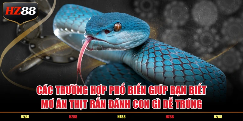 Các trường hợp phổ biến giúp bạn biết mơ ăn thịt rắn đánh con gì dễ trúng