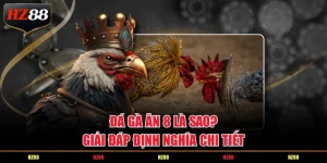 Đá gà ăn 8 là sao? Giải đáp định nghĩa chi tiết