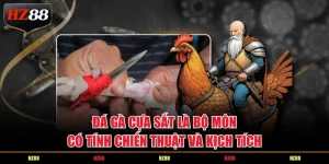 Đá gà cựa sắt là bộ môn có tính chiến thuật và kịch tích