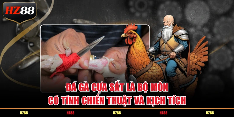 Đá gà cựa sắt là bộ môn có tính chiến thuật và kịch tích