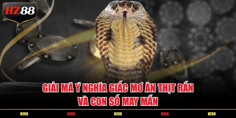 Giải mã ý nghĩa giấc mơ ăn thịt rắn và con số may mắn