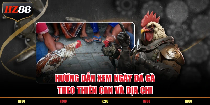Hướng dẫn xem ngày đá gà theo thiên can và địa chi