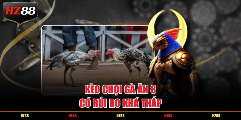 Kèo chọi gà ăn 8 có rủi ro khá thấp