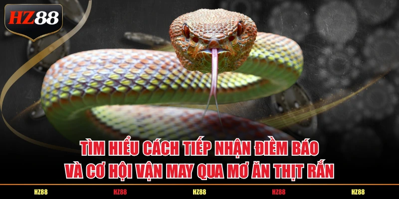 Tìm hiểu cách tiếp nhận điềm báo và cơ hội vận may qua mơ ăn thịt rắn