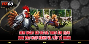 Xem ngày gà đá đá theo âm lịch dựa vào ngũ hành và yếu tố khác