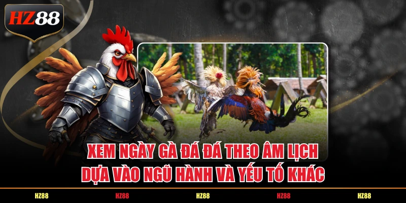 Xem ngày gà đá đá theo âm lịch dựa vào ngũ hành và yếu tố khác